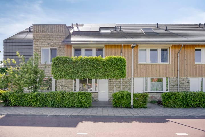 Foto 1 van Witbolgras 2