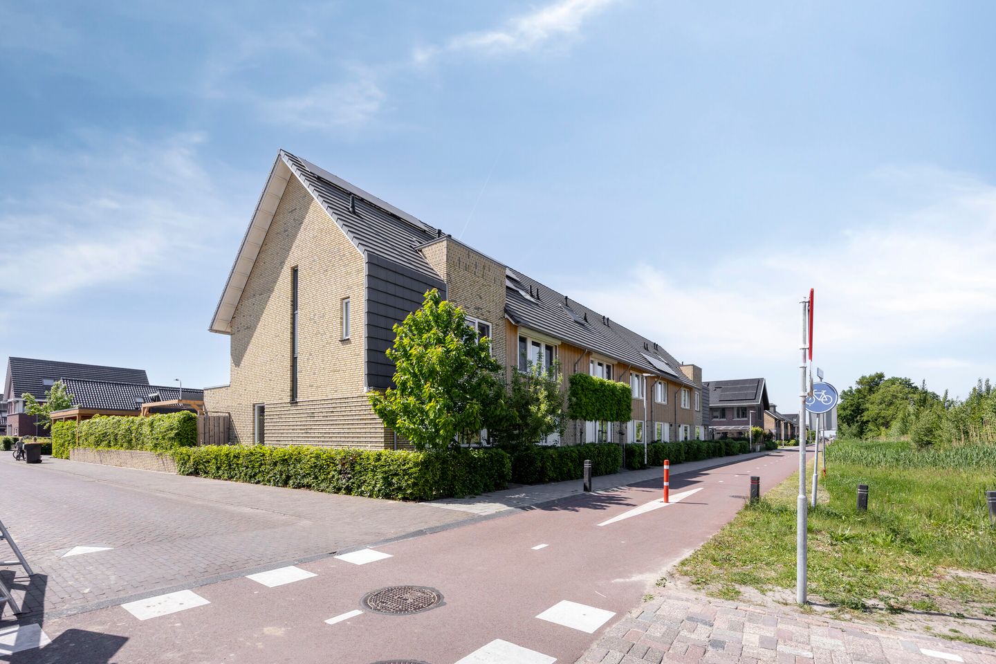 Foto 5 van Witbolgras 2