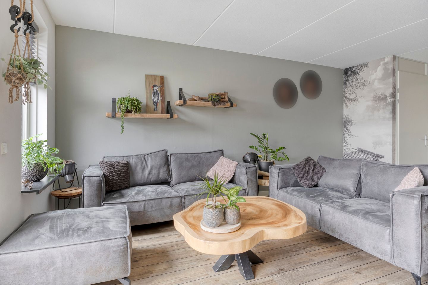 Foto 10 van Witbolgras 2