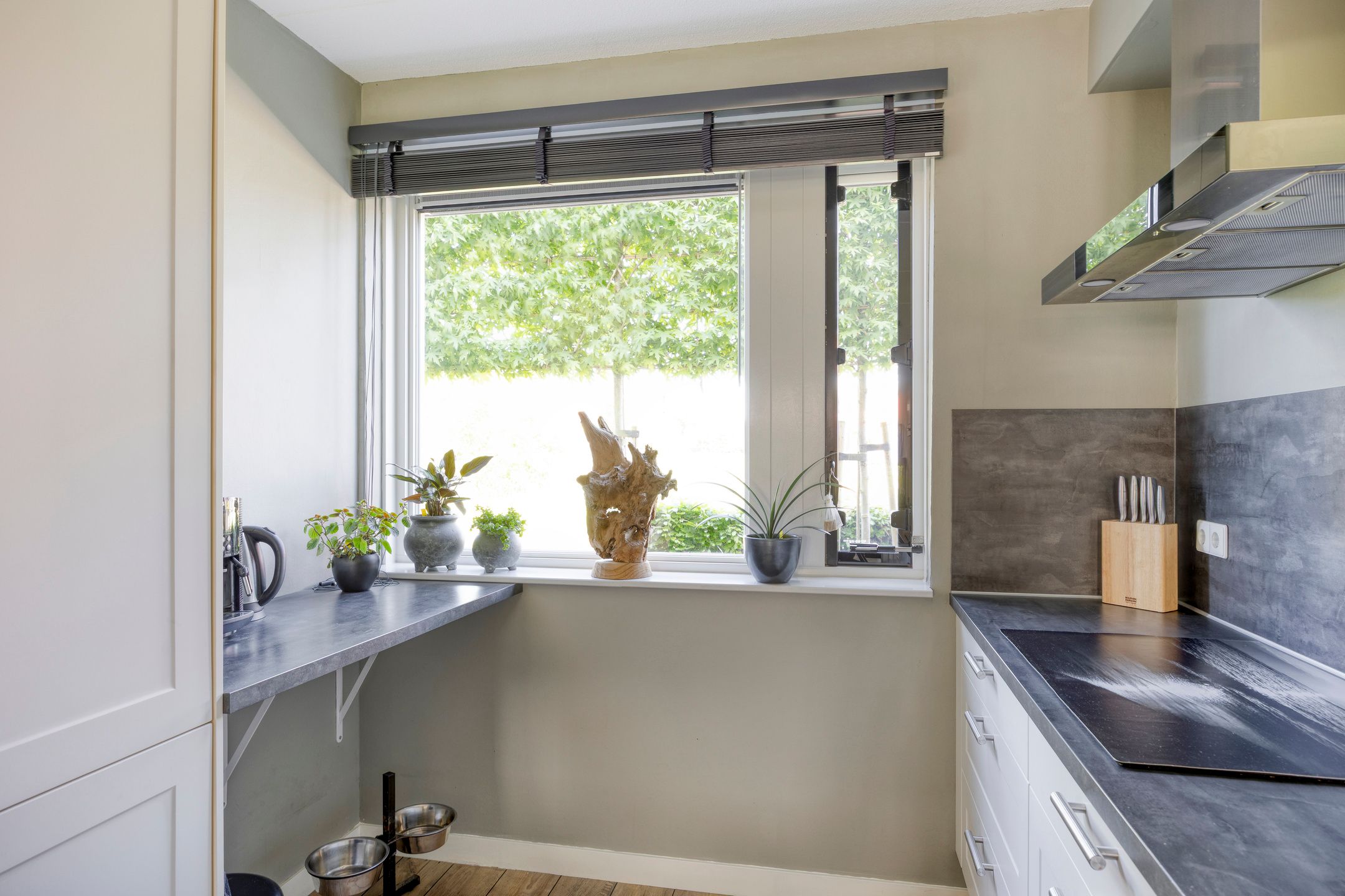 Foto 15 van Witbolgras 2