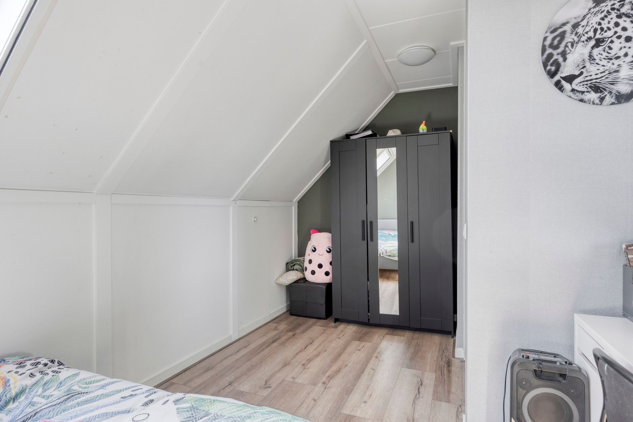 Foto 30 van Witbolgras 2