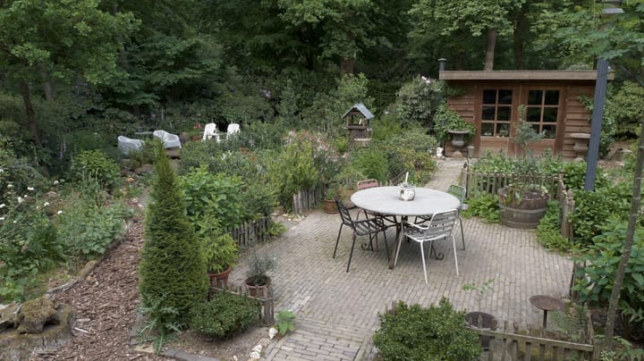 Foto 3 van Horalaan 26