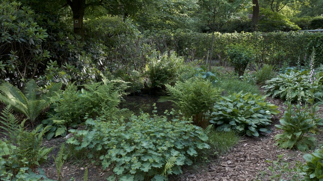 Photo 4 of Horalaan 26