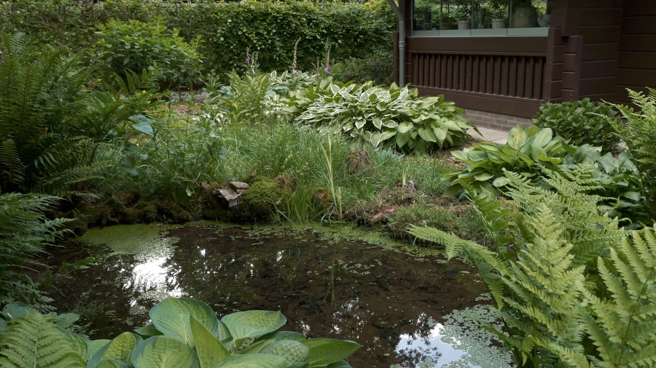 Photo 5 of Horalaan 26