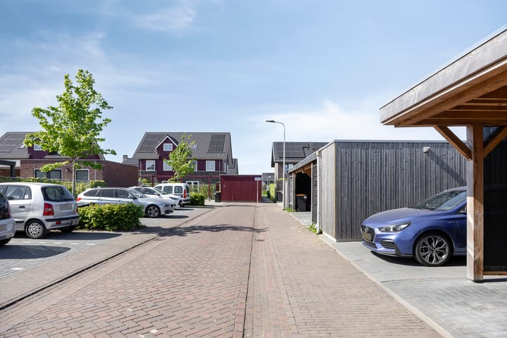 Foto 42 van Witbolgras 2