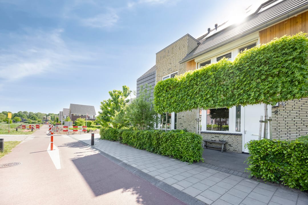 Foto 43 van Witbolgras 2