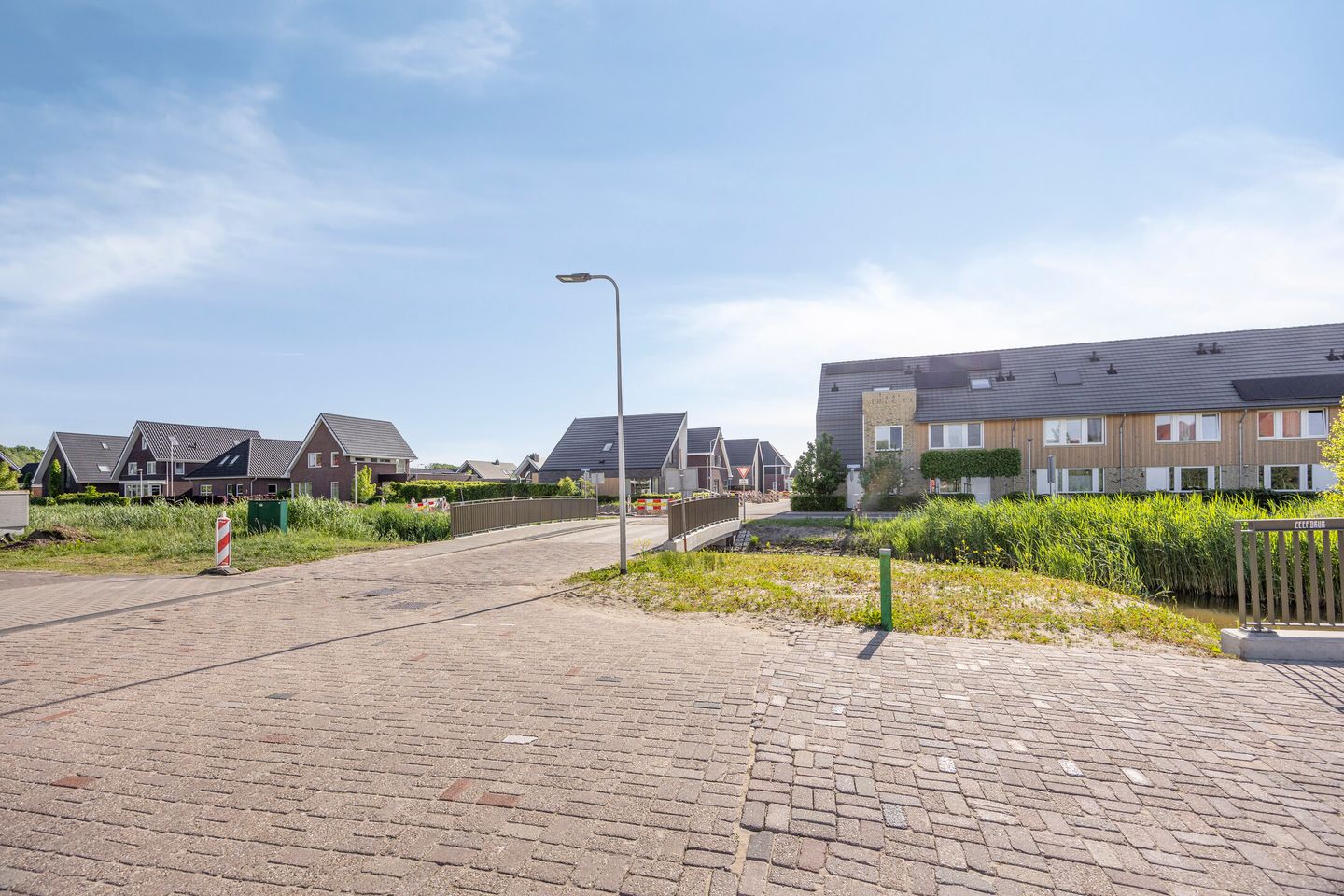 Foto 44 van Witbolgras 2