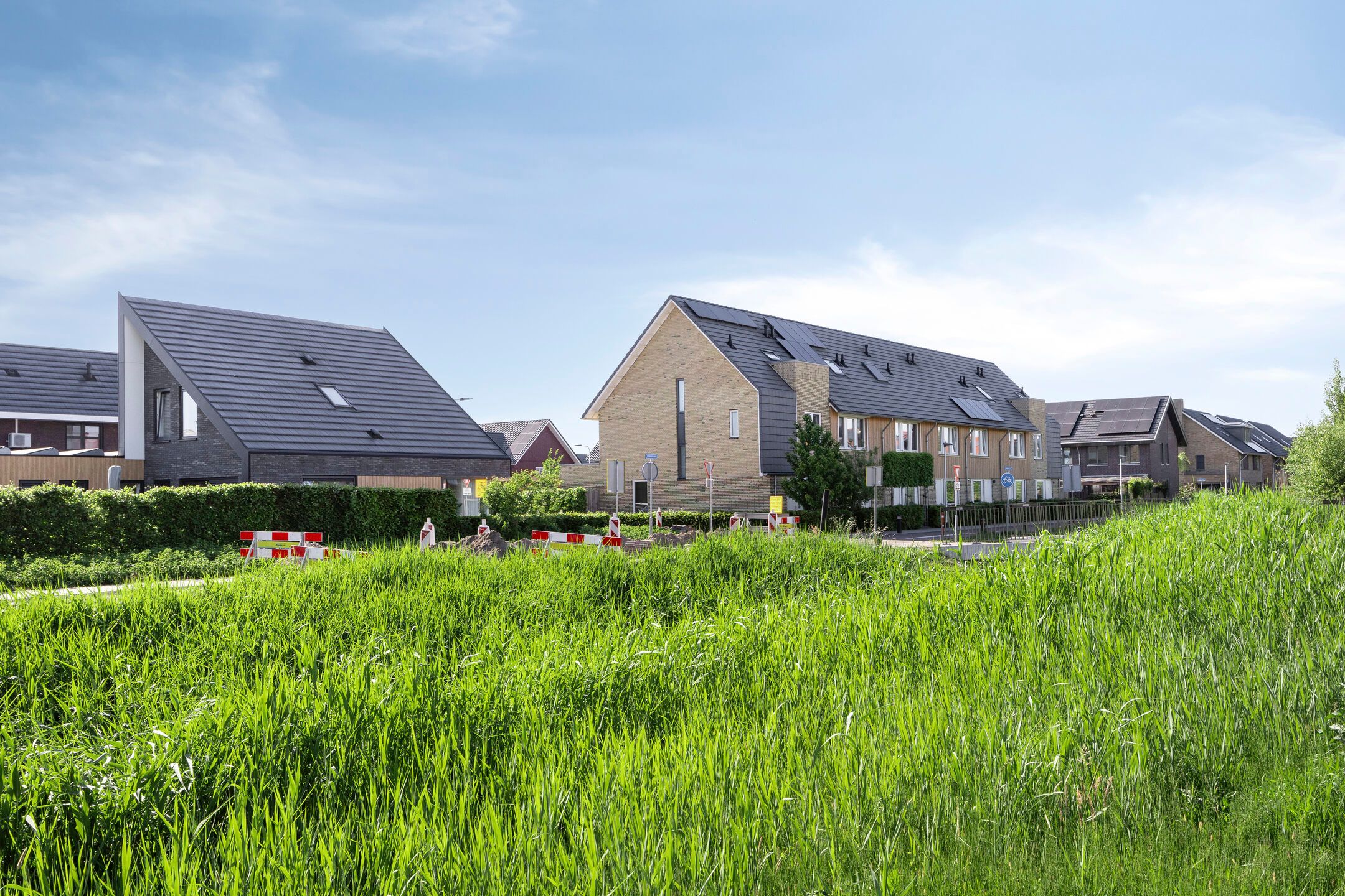 Foto 45 van Witbolgras 2