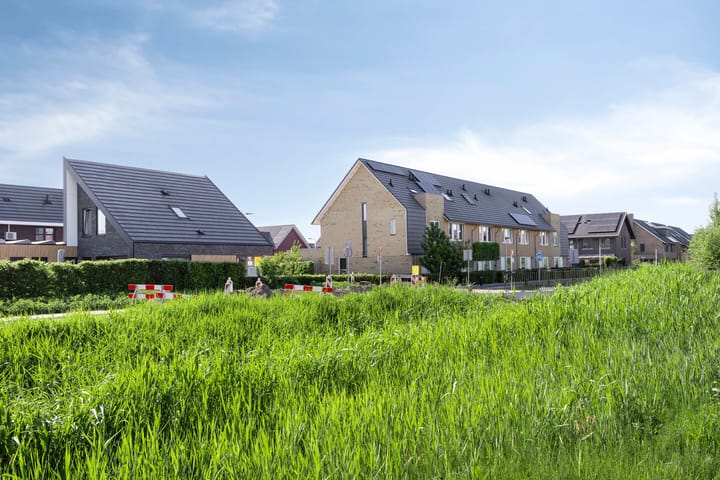 Foto 45 van Witbolgras 2