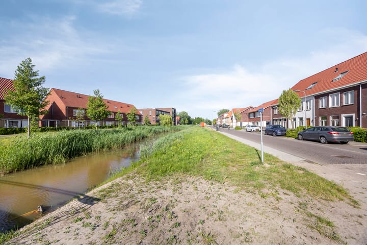 Foto 46 van Witbolgras 2