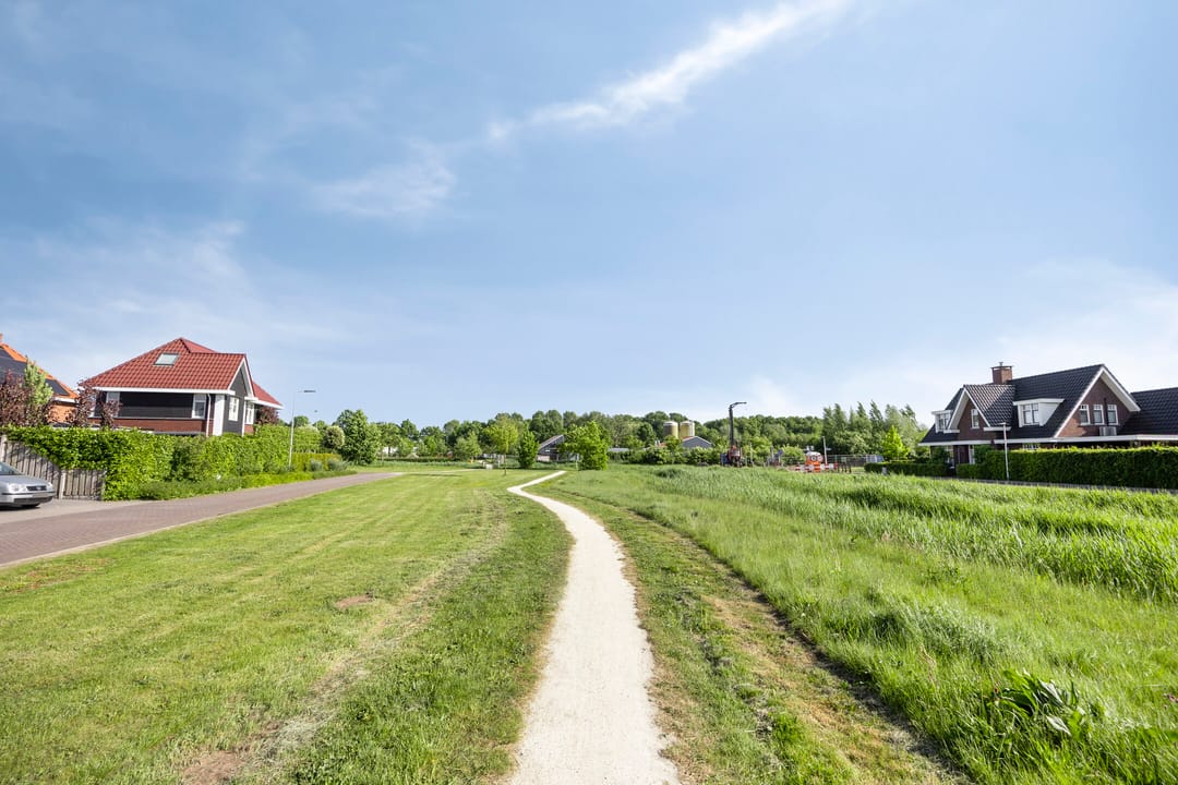 Foto 47 van Witbolgras 2