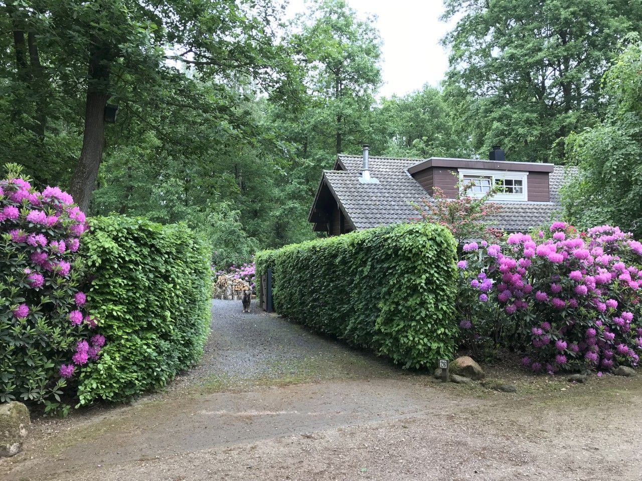 Photo 21 of Horalaan 26