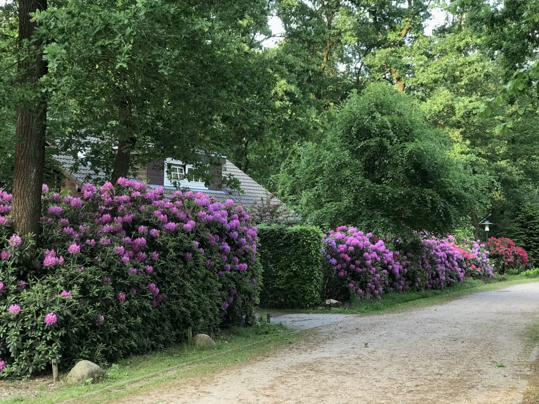 Photo 22 of Horalaan 26