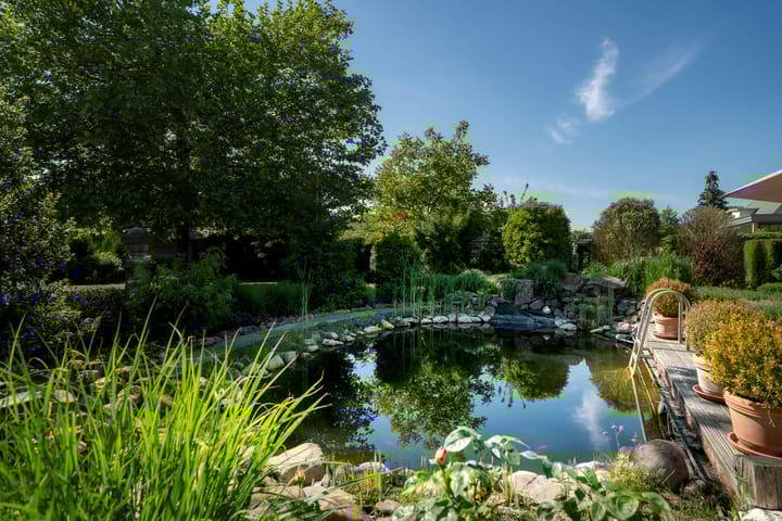 Foto 19 van Postweg 77