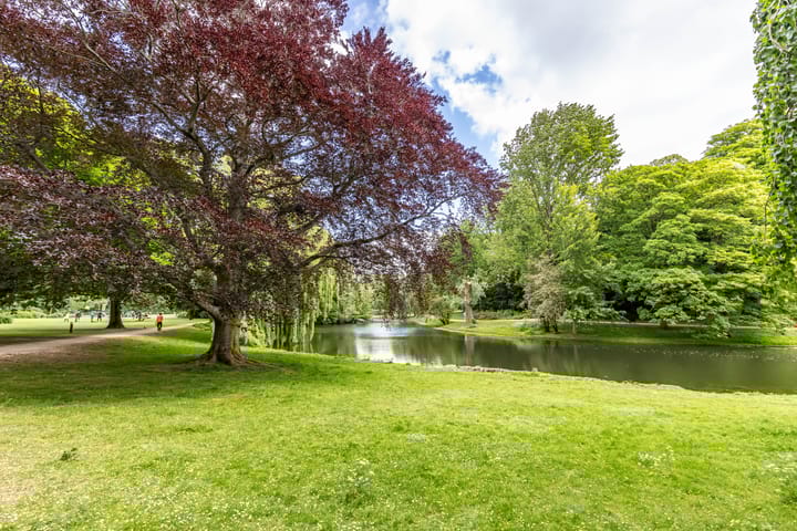 Foto 57 van Plantsoenstraat 50