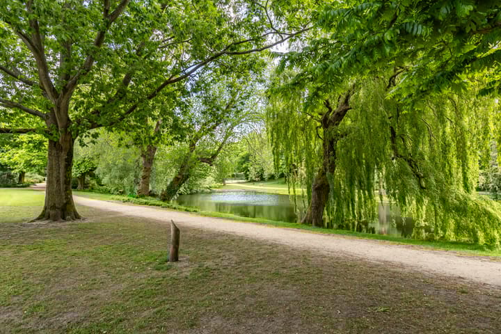 Foto 58 van Plantsoenstraat 50