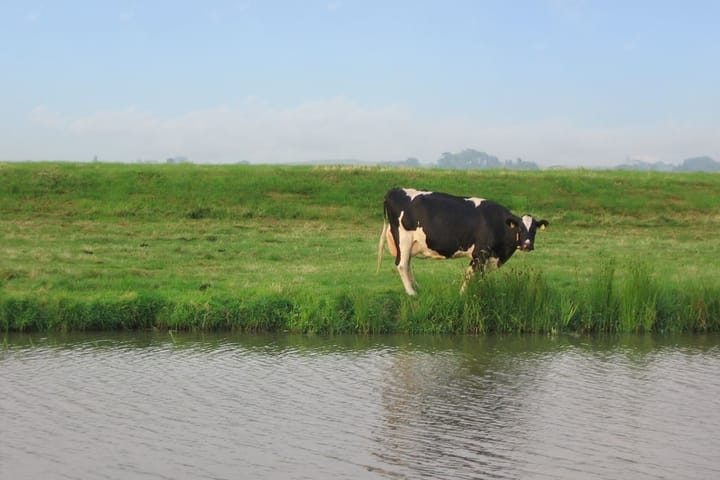 Foto 35 van Arenastraat 24