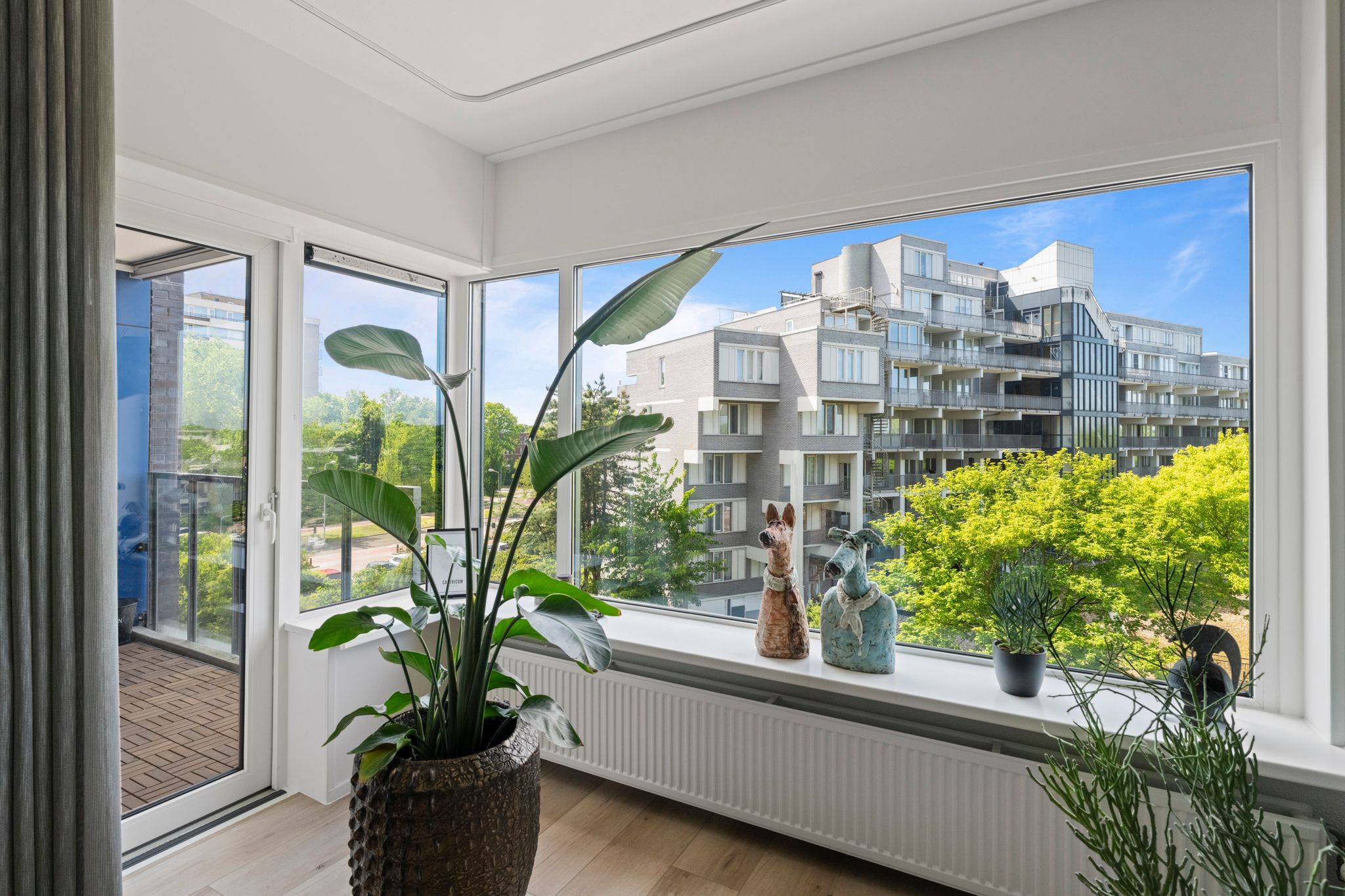 Photo 6 of Sans Souci 48