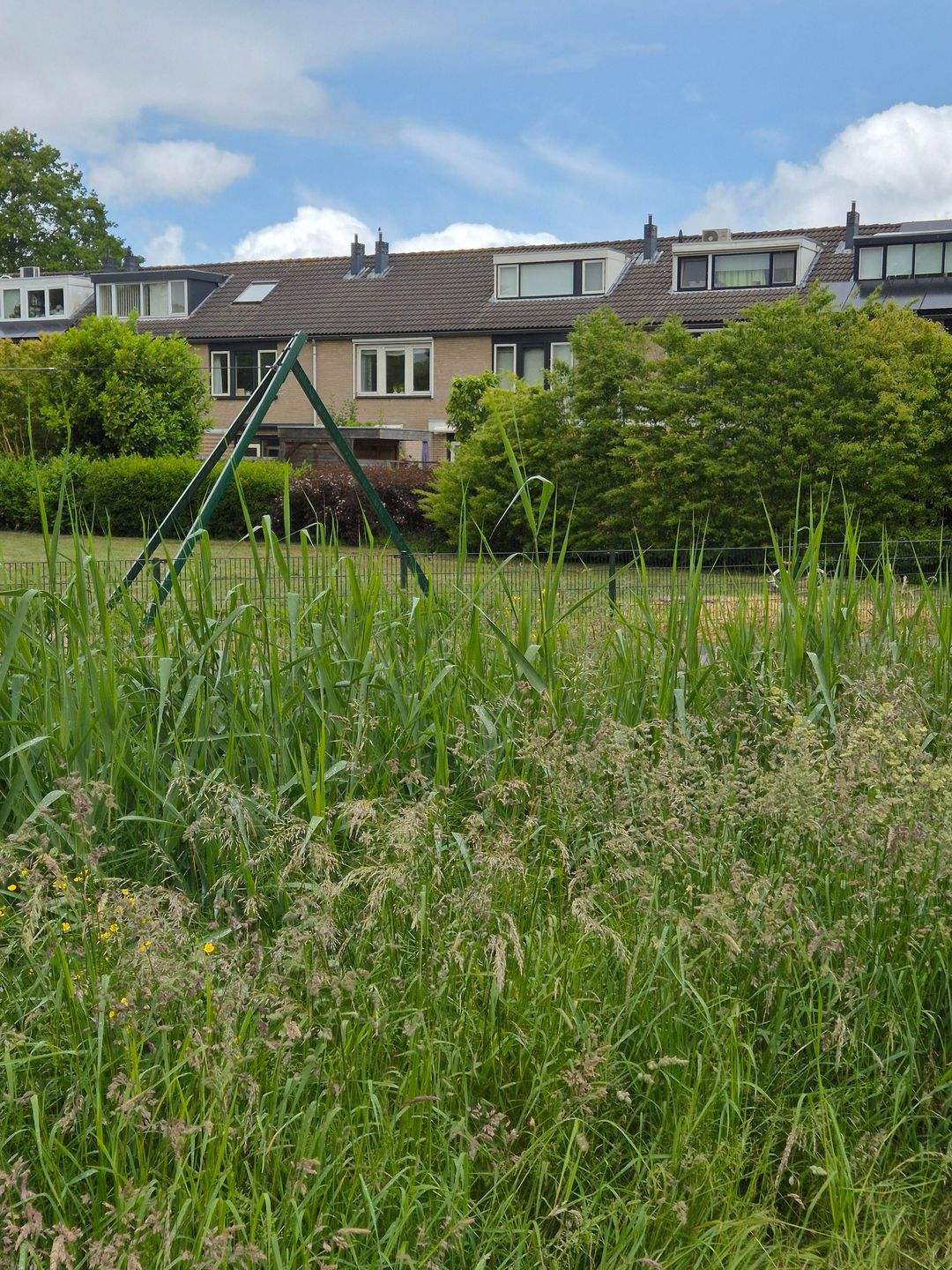 Foto 53 van Paganinistraat 48