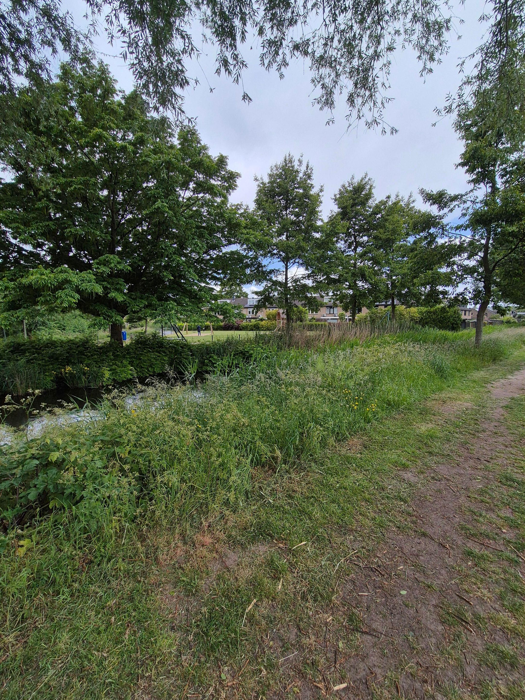 Foto 54 van Paganinistraat 48