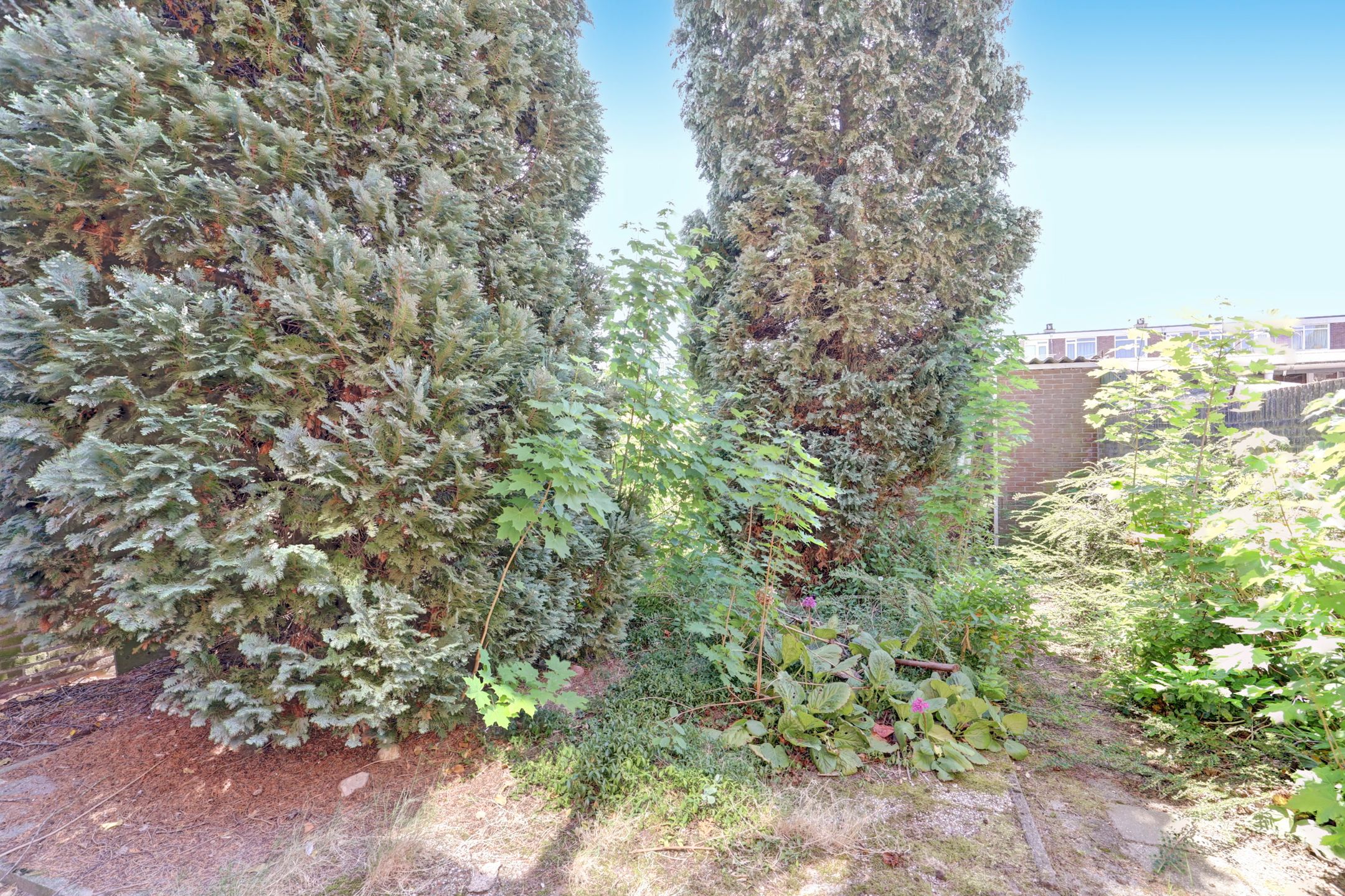 Foto 21 van Fagelstraat 1