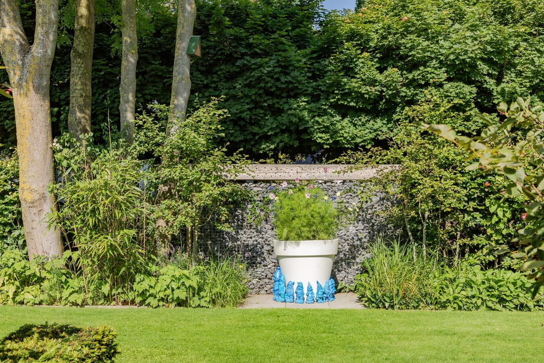 Foto 41 van Zuid Zijperweg 20