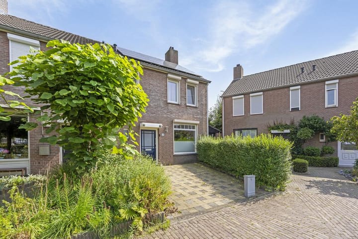 Foto 2 van Gaffel 19