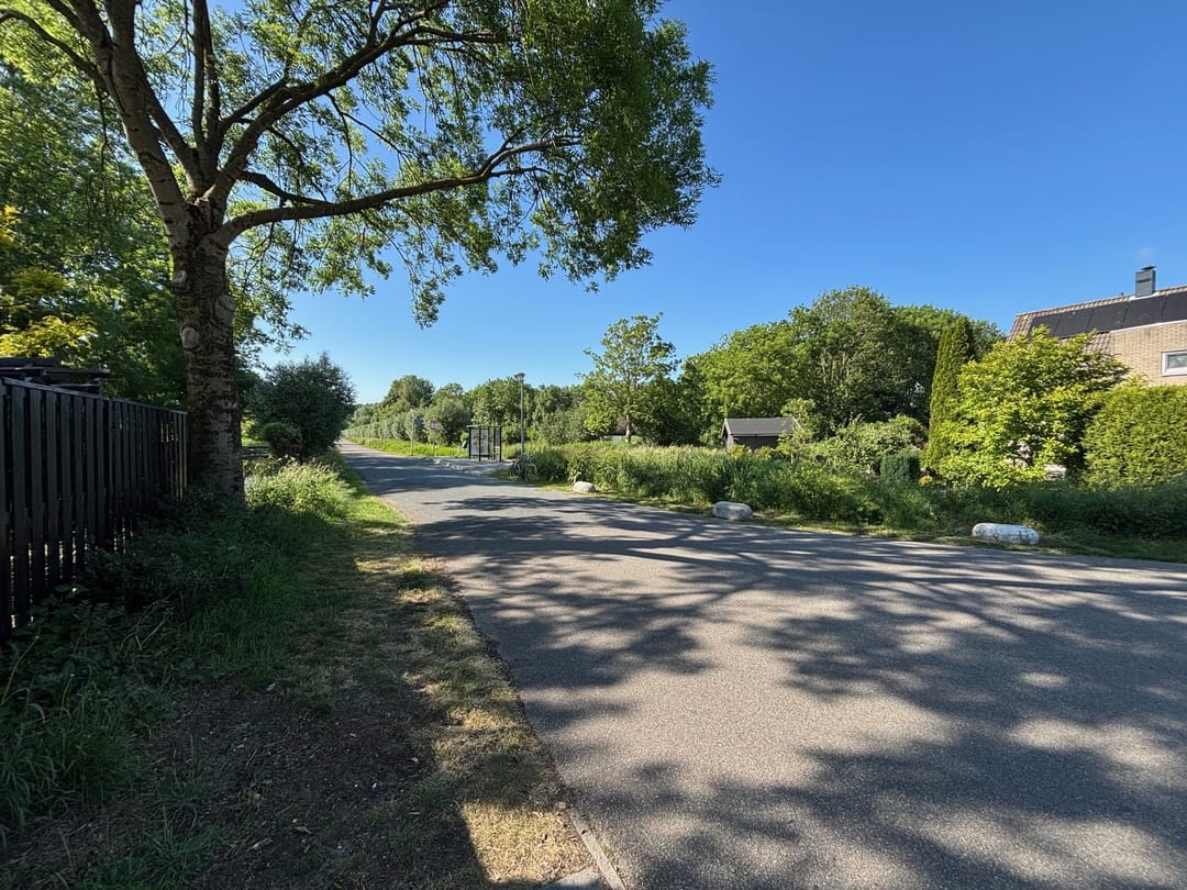 Foto 31 van Begoniaveld 42