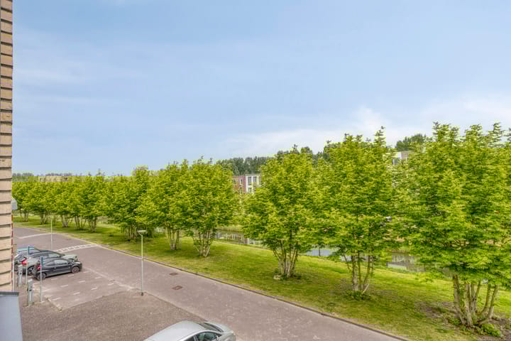 Foto 31 van Minervasingel 11