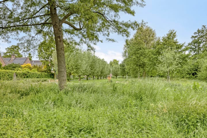 Foto 29 van Dilleveld 97