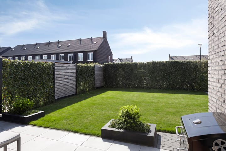 Foto 39 van Trechterbeker 64