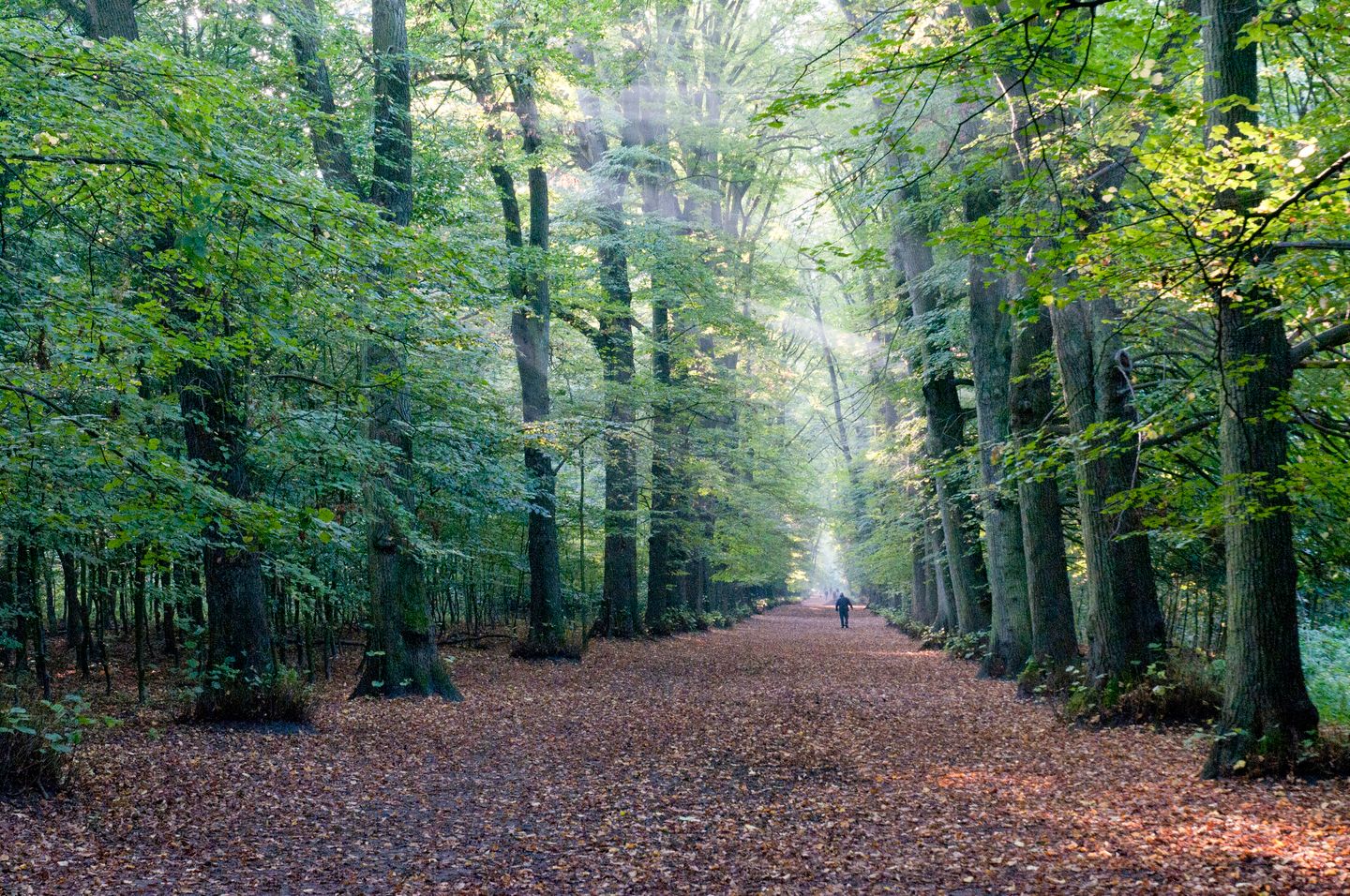 Photo 44 of Provinciënlaan 2-D