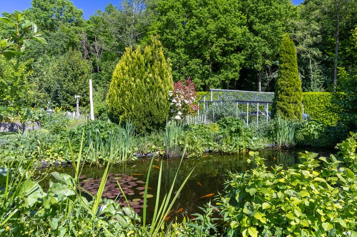 Foto 60 van Groene Velden 44