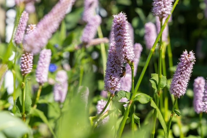 Foto 78 van Groene Velden 44