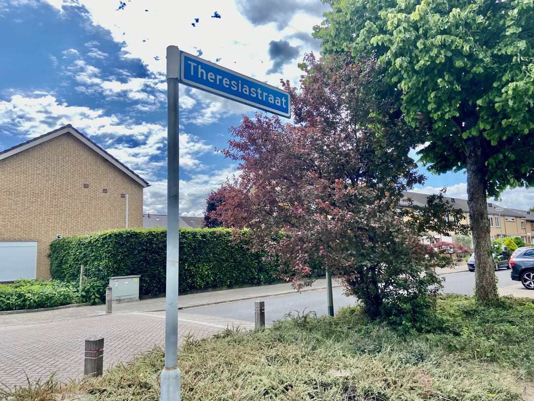 Foto 2 van Theresiastraat 36