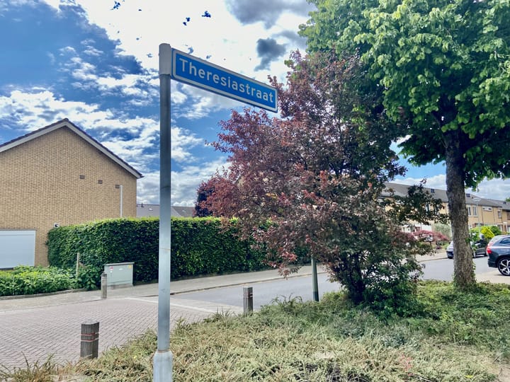 Foto 2 van Theresiastraat 36