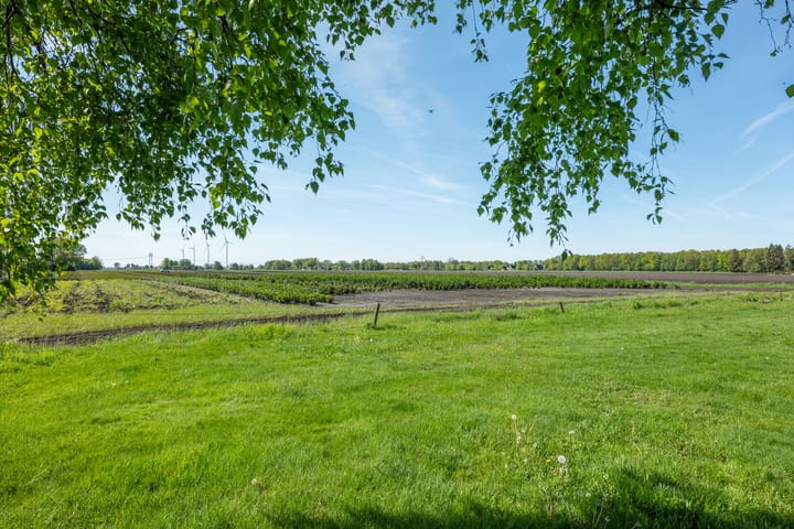 Foto 41 van Hereweg 138