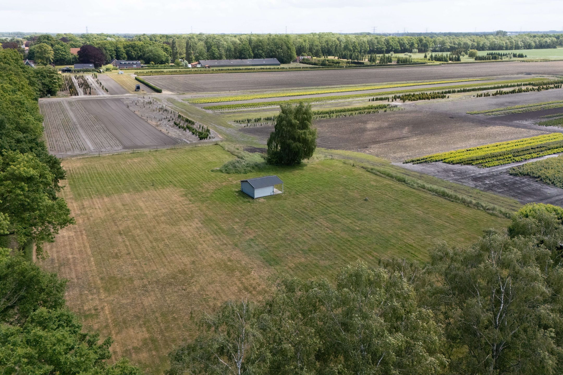 Photo 45 of Hereweg 138