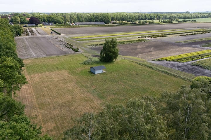 Foto 45 van Hereweg 138