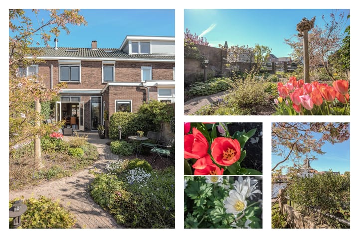 Foto 26 van Paltrokmolen 7