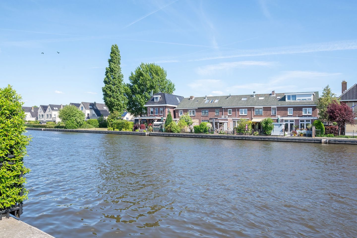 Foto 50 van Paltrokmolen 7