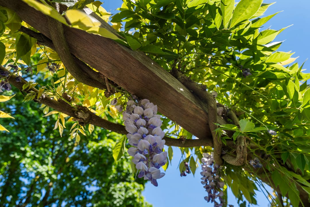 Foto 17 van Seltershof 25