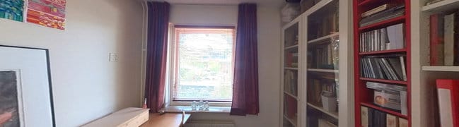 foto8
