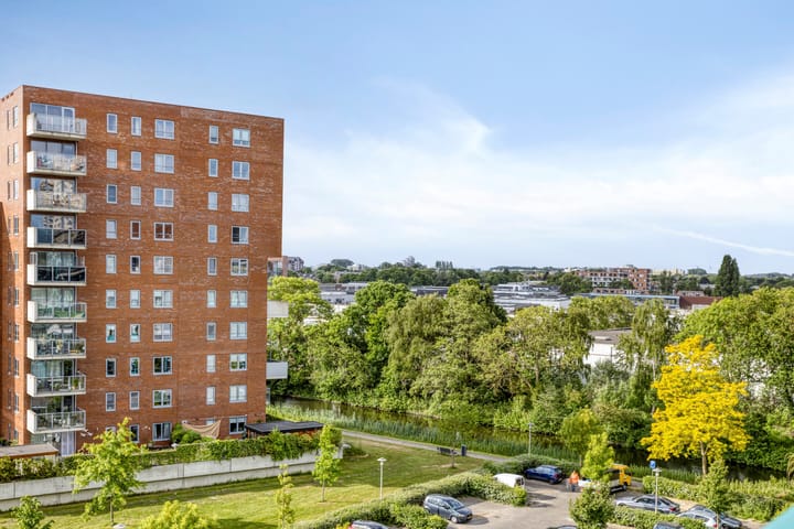 Foto 4 van Iepenschans 51