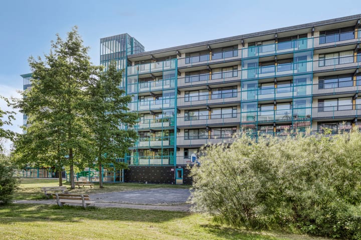 Foto 6 van Iepenschans 51