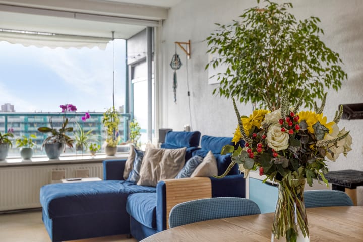 Foto 13 van Iepenschans 51