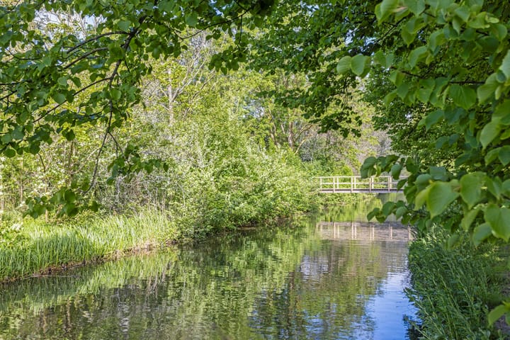 Foto 32 van Iepenschans 51