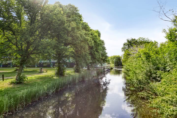 Foto 33 van Iepenschans 51