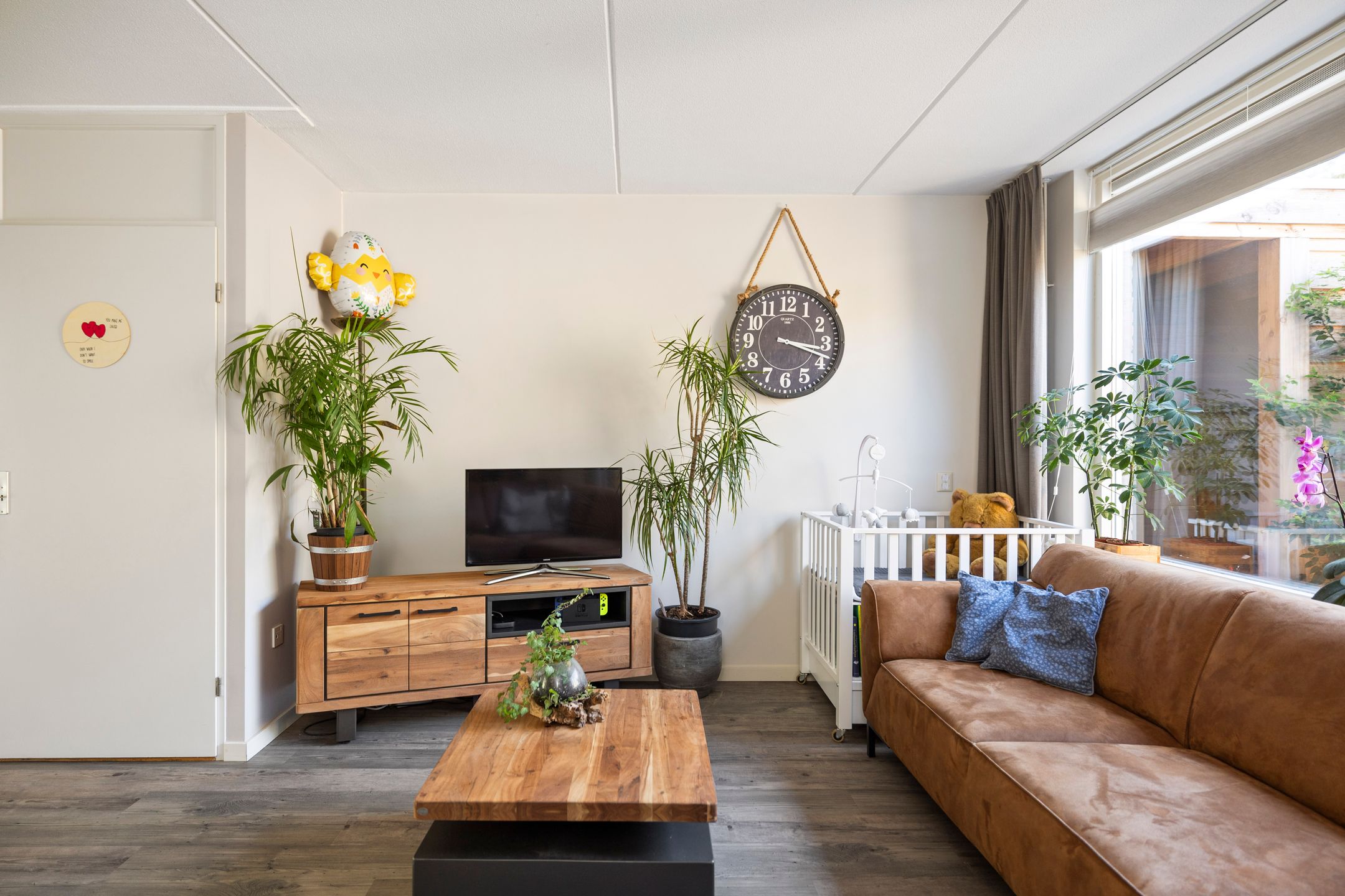 Foto 3 van Kardinaalsmuts 47