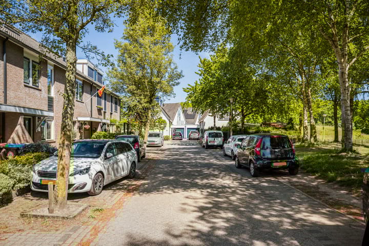 Foto 28 van Kardinaalsmuts 47